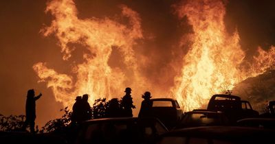 Chilean forest fire: At least two dead and 400 homes burnt down in huge inferno