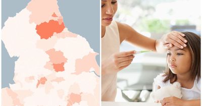 Invasive Group A Strep cases mapped: County Durham hard hit and North East has seen 33 cases this year