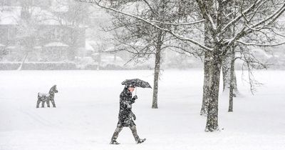 Glasgow ties with Edinburgh for snow on Christmas Day