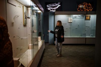 Ukraine museum in 'shock' after Russian looting spree