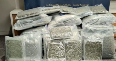 Massive amount of cannabis worth €2.4 million seized as gang arrested