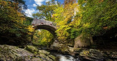 Best places in Derry for your Christmas walks