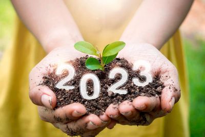 Gardening trends for 2023 – experts make their predictions