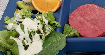 School slammed for 'demonic' Christmas dinner with slab of 'mystery meat'