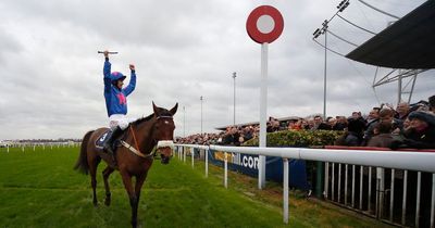 Multiple Grade One winner Cue Card dies suddenly days before he was due to lead King George parade