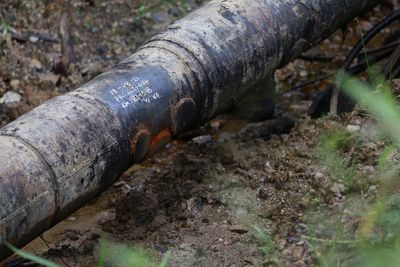 Colombia's oil theft soars, leaving trail of environmental harm