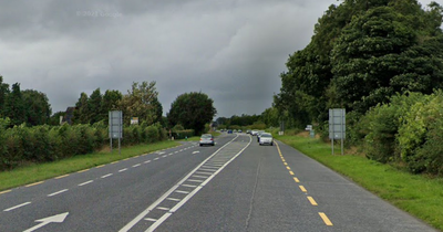 Man remains hospitalised days after serious crash with truck in Westmeath as gardai issue update