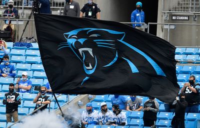 Who are the experts picking in Panthers vs. Lions?