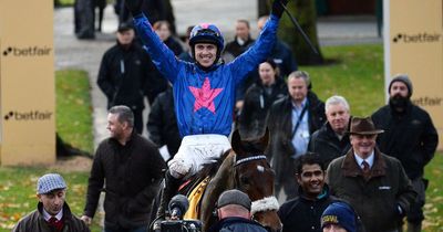 Jumps star Cue Card hailed 'horse of a lifetime' after dying of a heart attack, aged 16