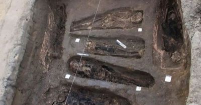Ancient Egyptian burial ground unearthed with cat goddess statue and golden treasures