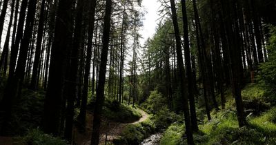 Eight walks around Co Tyrone to do between Christmas and New Year