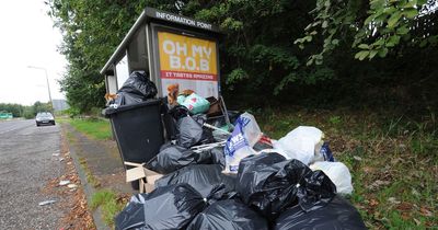 Illegal fly-tipping costs council nearly £50,000 to clean up