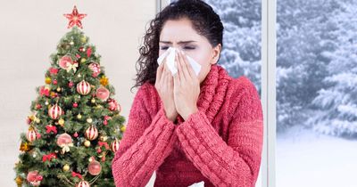 Covid or cold? Expert on what to do if you have symptoms this Christmas