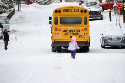 The (solvable) problem of school transportation