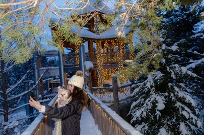 In a wintry Adirondack forest, an oasis of holiday light