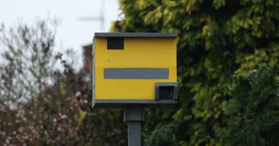 Man in Nottinghamshire village paints his birdbox to look like a speed camera