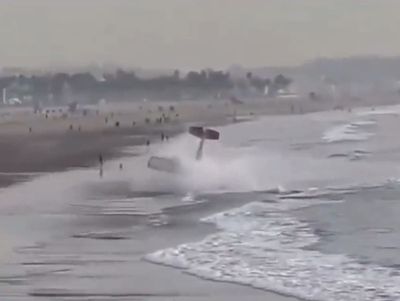 Shocking video shows plane crash on Los Angeles beach that killed former Santa Monica mayor Rex Minter