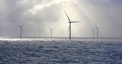 Seven huge wind farms could be built off the coast of five Irish counties and power millions of homes