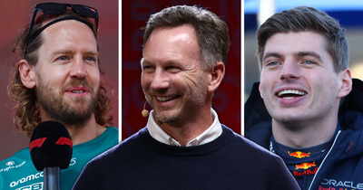 Christian Horner nailed his Max Verstappen prediction in Sebastian Vettel comparison