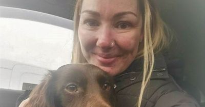 Latest on missing puppy Coco who got lost on Cave Hill while on holiday from Scotland