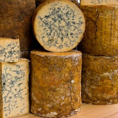 Grab a cracker: Meet the microbes that make your holiday cheese plate
