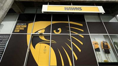 Former MVAC CEO and Hawthorn racism report author denies wrongdoing amid reports of financial crime investigation