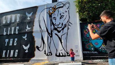 New mural painted in memory of LA's famed mountain lion