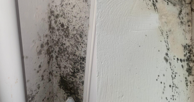 Liverpool students living in 'uncomfortable' flat covered in 'mould and damp'