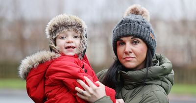 Bereaved single mum on benefits forced from home at Christmas by horrific fly infestation