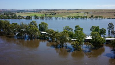 River Murray flooding expected to peak on Boxing Day and be at low range of predictions