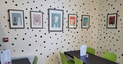 Nottinghamshire shop bounces back after theft to open new café with a twist