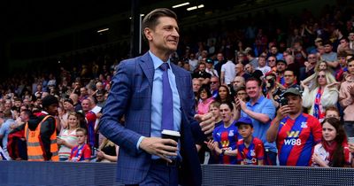 Steve Parish makes January transfer window claim as Crystal Palace eye loan market