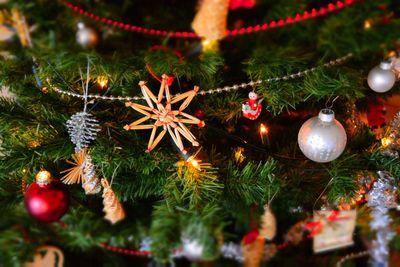 Merry Christmas 2022: 15 quotes by authors that perfectly depict the festive spirit