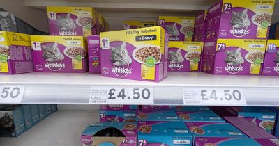 Woman forced to eat cat food for warm meal during Christmas cost of living crisis