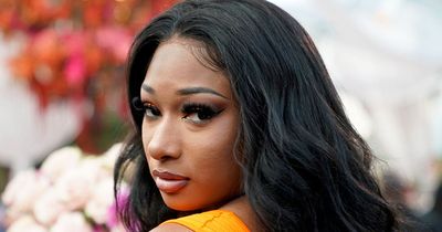 Megan Thee Stallion told 'stay off' social media by concerned fans after Tory Lanez verdict