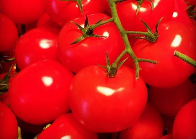 Research Traces Health Benefits Of Tomatoes Towards Gut Microbes