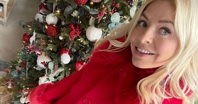 Holly Willoughby shares 'perfect Mrs Claus' selfie from £3m London home