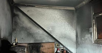 Dog ‘started fire’ on Christmas Eve after accidentally turning hairdryer on