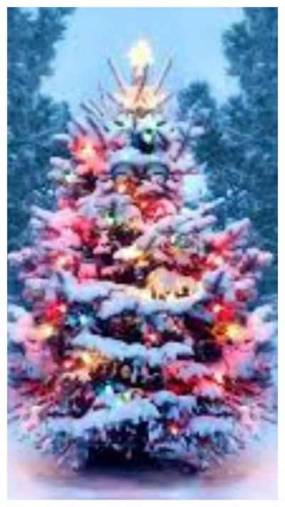 Christmas Vibes From Celebrities