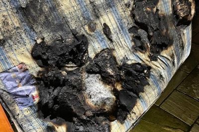 Dog turns on hairdryer and starts Christmas Eve house fire in Essex