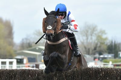 Nicholls three-handed in pursuit of 13th King George