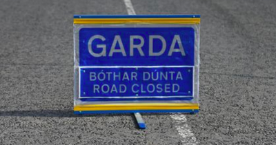 Woman in her 60s dies in horror two-vehicle Christmas Eve crash in Wicklow