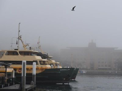 Heavy fog forces Sydney ferries to stop