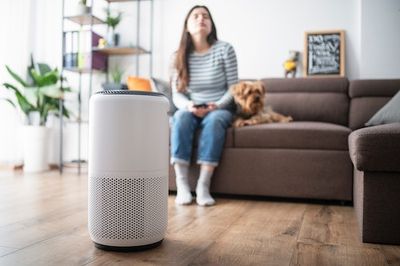 Your air purifier may be doing more harm than good