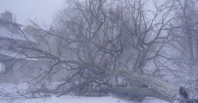 Storm in America leaves dozens dead as Arctic blast cuts power to tens of thousands