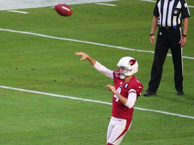 Cardinals pick up 1st down on fake punt vs. Buccaneers