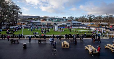 Leopardstown race card and betting tips for St Stephen's Day