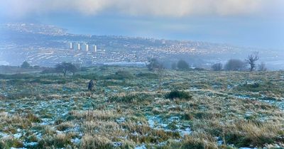 Woodland Trust's top NI winter wonderlands to visit with loved ones for free this Christmas