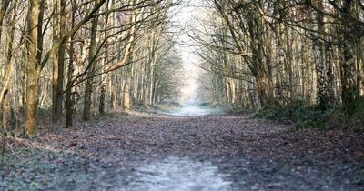 Inside the former tip that's become Manchester's newest stunning nature reserve