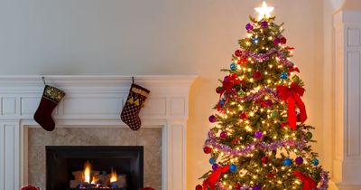 Garden experts shares what you should do with your leftover Christmas tree and one thing you shouldn't